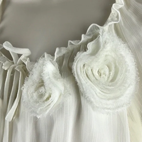 Flutter Sleeve Sheer Chic Cream Blouse Top - Picture 3 of 16